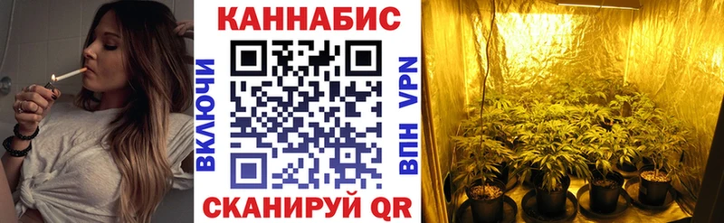 Бошки Шишки план  Купить закладки  Кологрив 